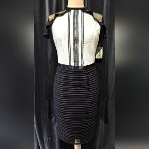 RUNWAY Chic Black and White Mesh Dress